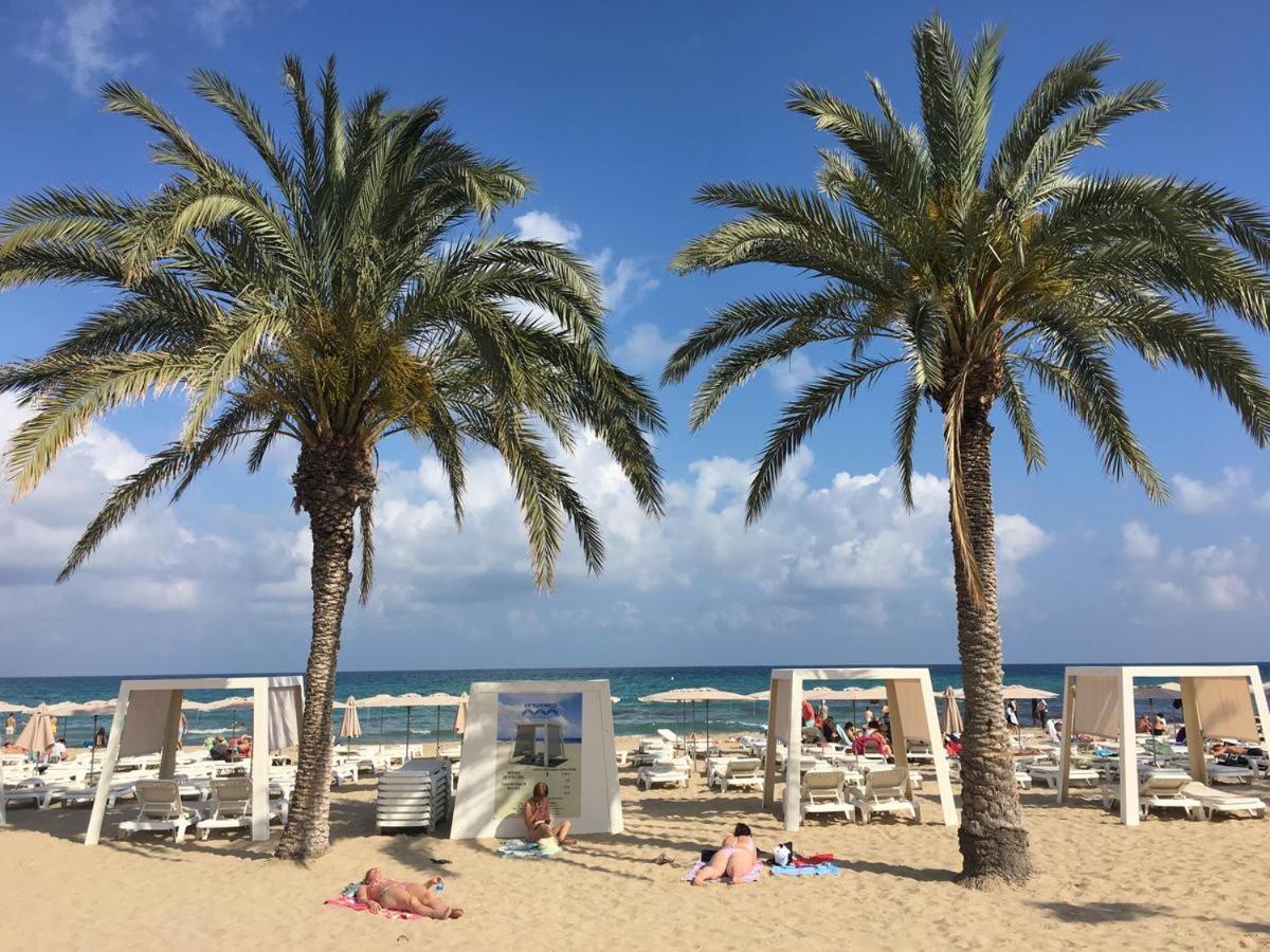 Domange I Apartment Alicante Ngoại thất bức ảnh
